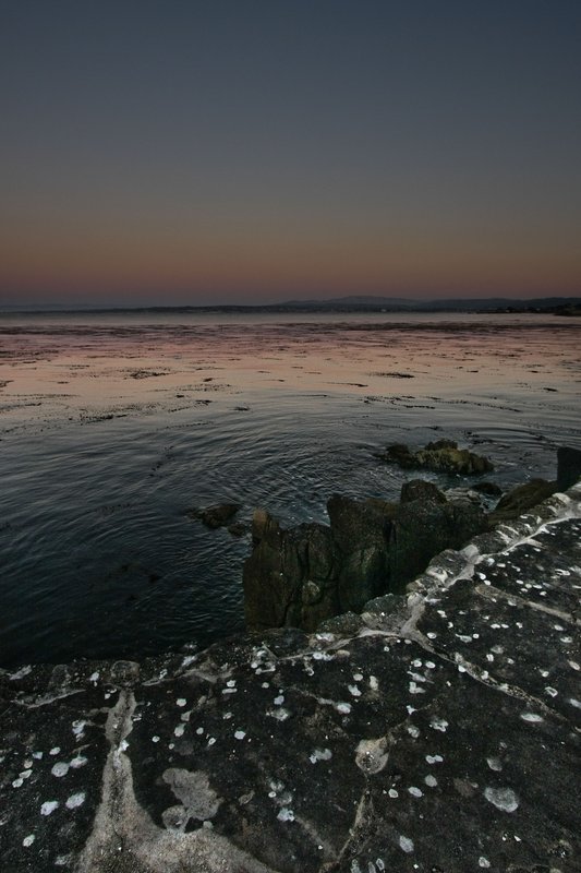 IMG_5905-926 (16).jpg