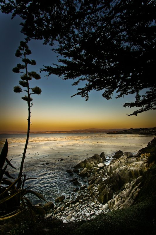 IMG_5905-926 (18).jpg