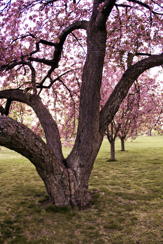 IMG_5905-926 (2).jpg