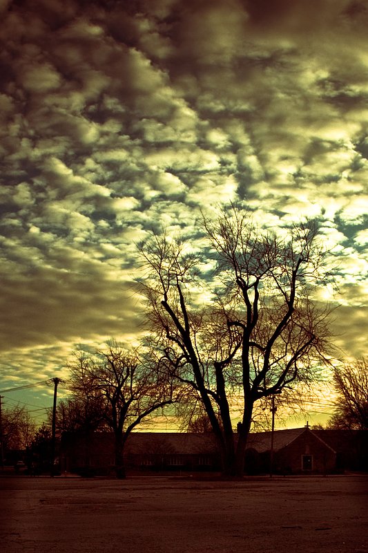 IMG_5905-926 (28).jpg