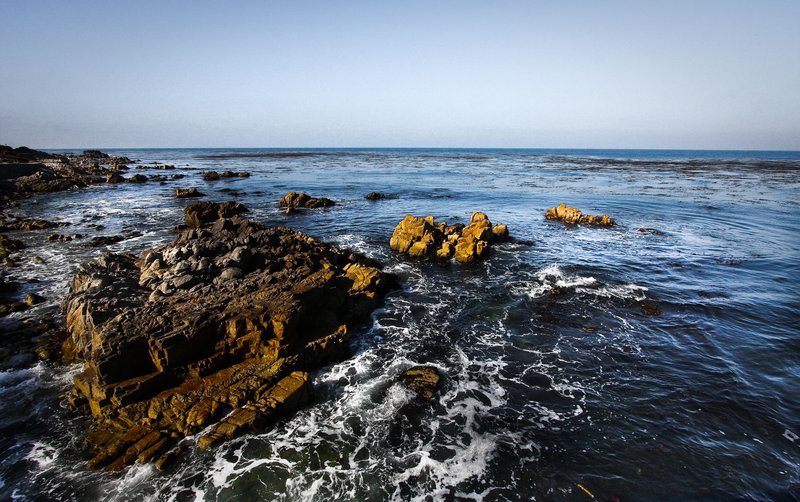 IMG_5905-926 (4).jpg