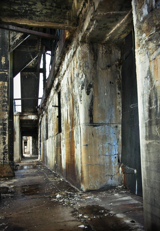 IMG_6281 Jamaica bay- Gateway to the Rockaways (14).jpg