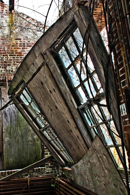 IMG_6281 Jamaica bay- Gateway to the Rockaways (21).jpg