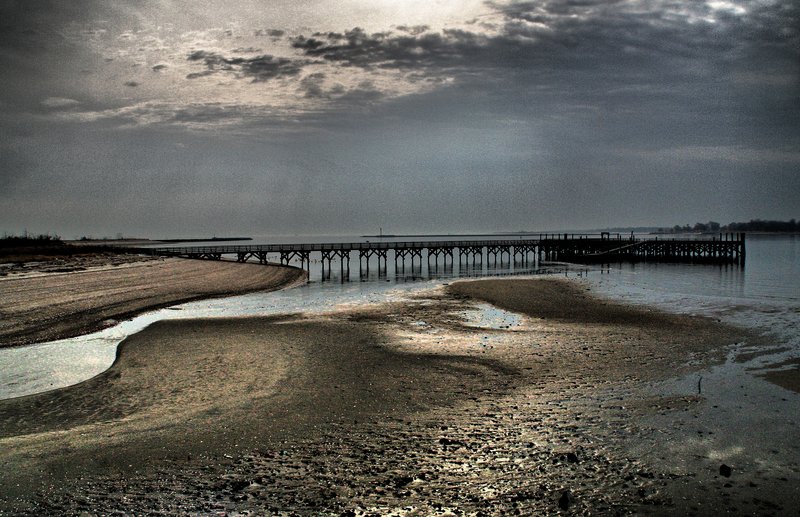 IMG_6281 Jamaica bay- Gateway to the Rockaways (25).jpg