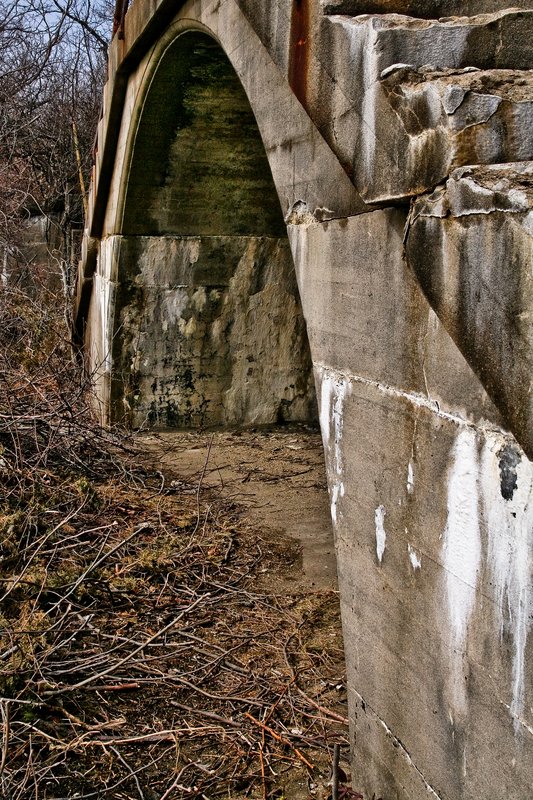IMG_6281 Jamaica bay- Gateway to the Rockaways (3).jpg