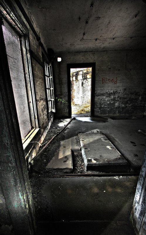 IMG_6281 Jamaica bay- Gateway to the Rockaways (6).jpg