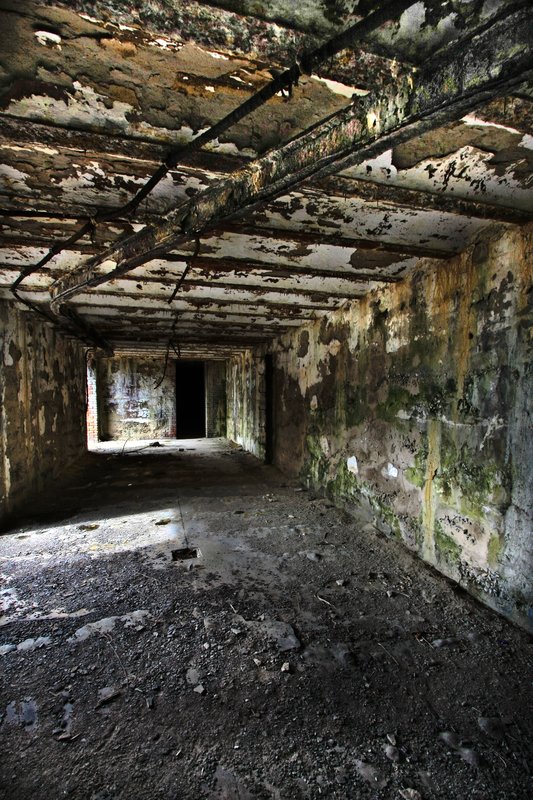 IMG_6281 Jamaica bay- Gateway to the Rockaways (8).jpg