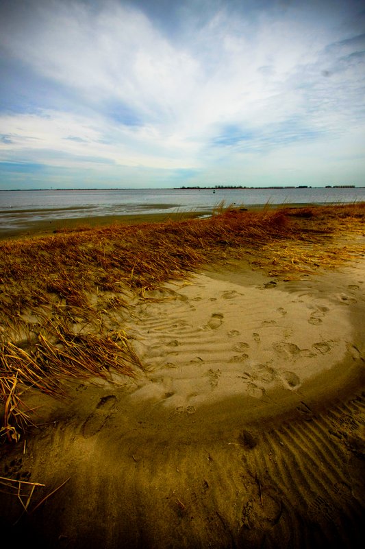 Jamica bay (19).jpg