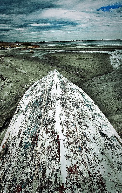 Jamica bay (20).jpg