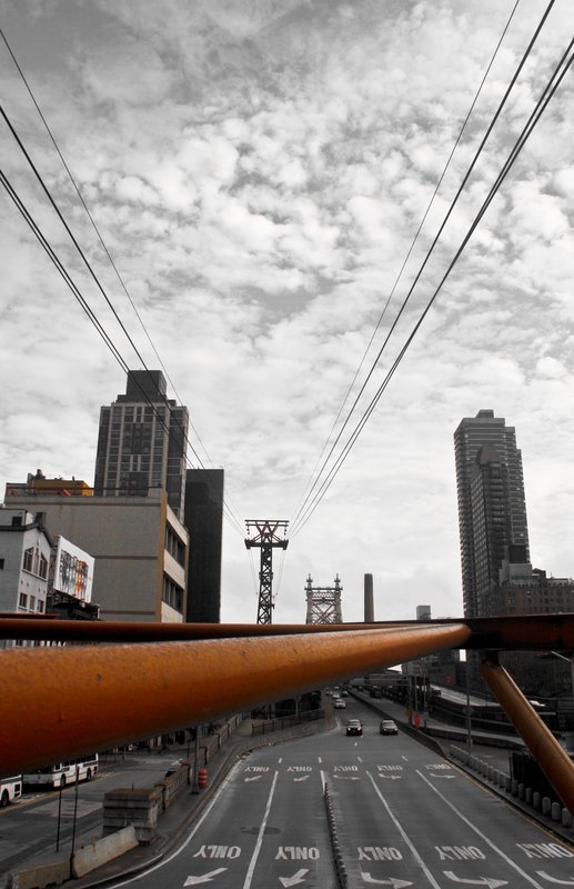 LANDSCAPE 2006-8 (0).jpg