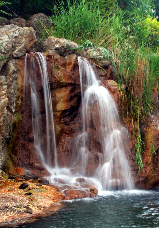 LANDSCAPE 2006-8 (11).jpg