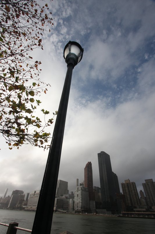 LANDSCAPE 2006-8 (2).jpg