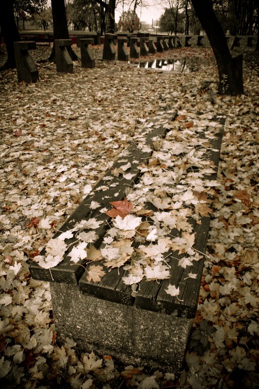 LANDSCAPE 2006-8 (7).jpg