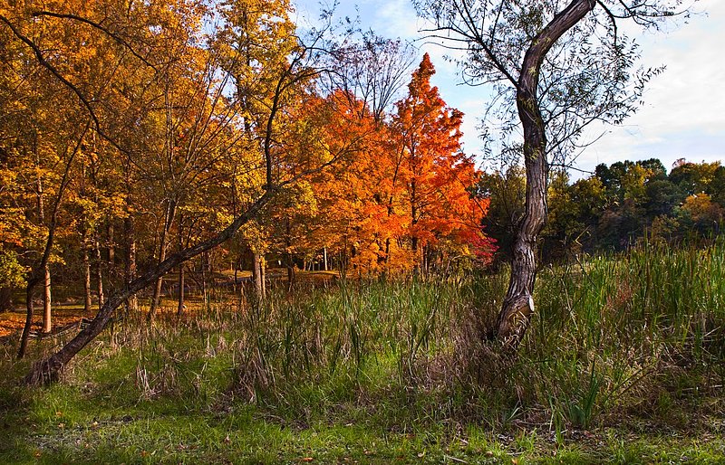 aIMG_3083 (1185 x 762).jpg