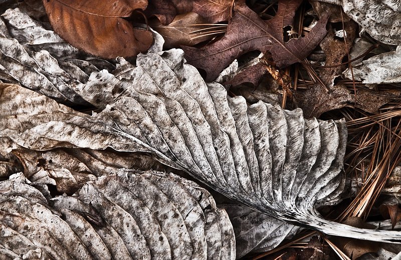 aIMG_6070-Edit (1188 x 770).jpg