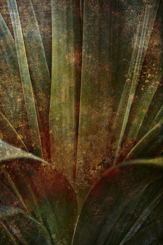 aIMG_6096-Editdirty (762 x 1144).jpg