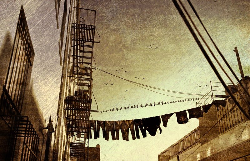 02013 a  (3) (3388 x 2181).jpg