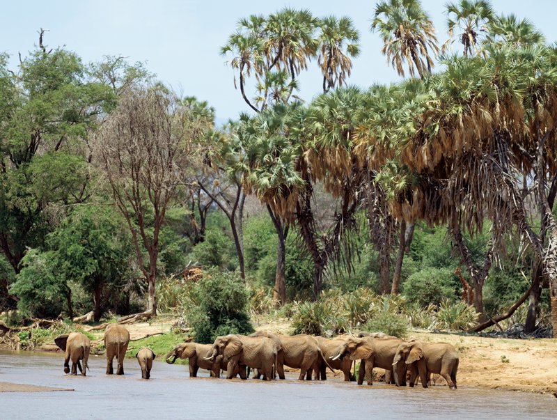 Sam Elephant River Crossing Pano.jpg