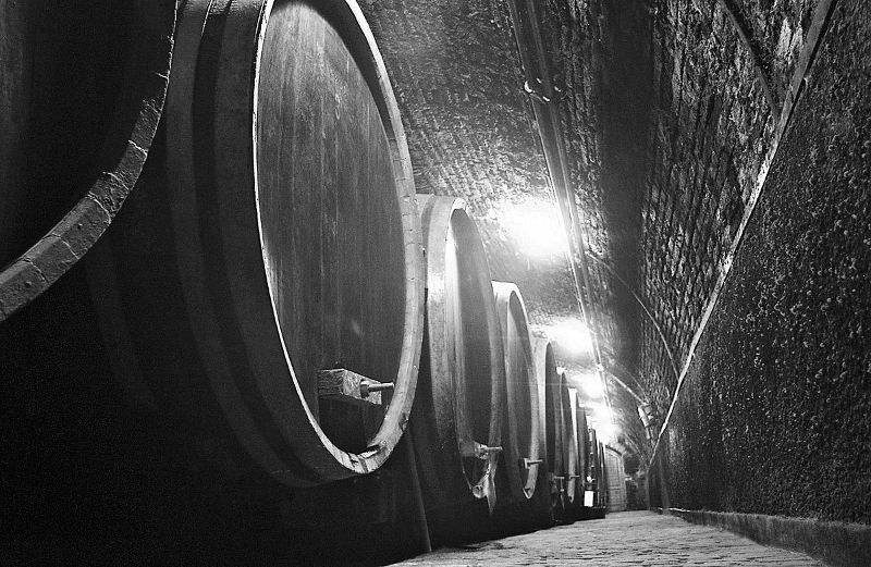 Hungary cellar.jpg
