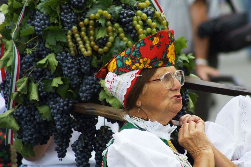 Wine Festival.jpg