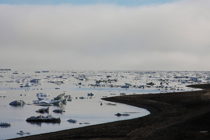 Arctic Beach-w1.jpg