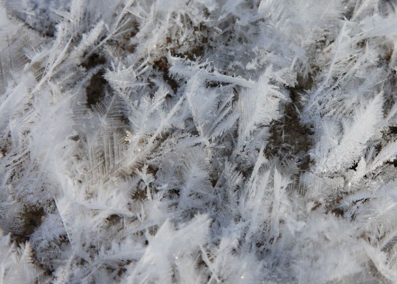 IMG_4416 - Snowflakes-w.jpg