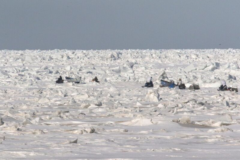 K47A8904 - Spring Whaling-001-w.jpg