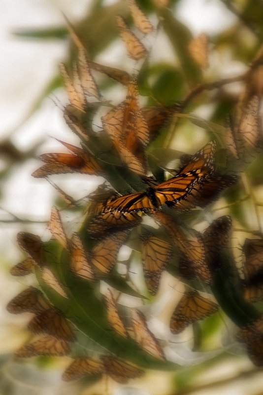 only for a moment.jpg