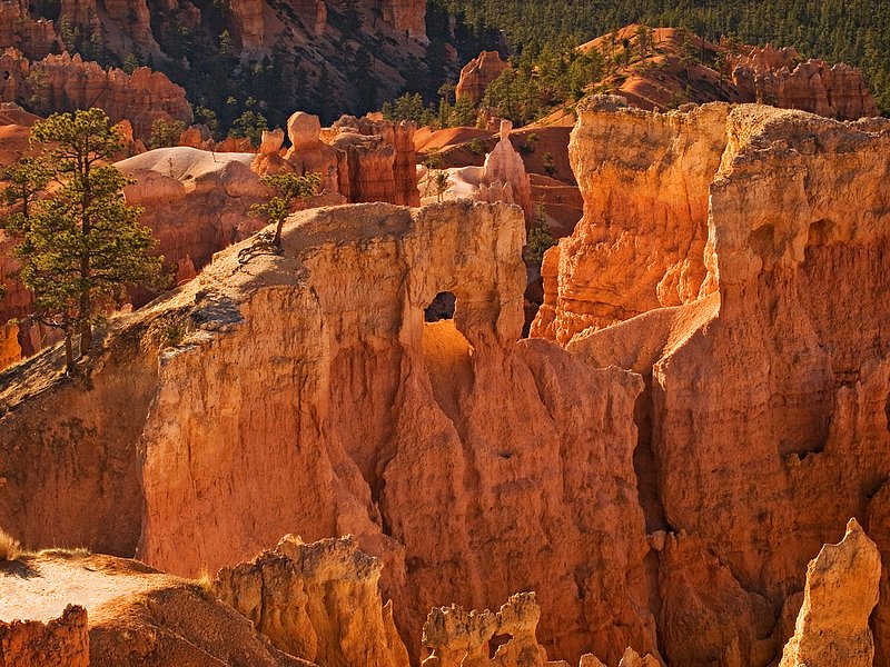 Bryce Window.jpg :: A natural window at Bryce Canyon National Park, Utah captures the golden morning glow along the trail from Sunrise Point down to Queens Garden.