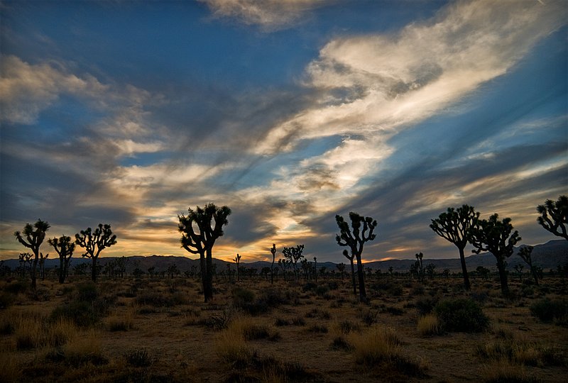 Dusk at Lost Horse Valley.jpg :: Dusk at Lost Horse Valley, Joshua Tree National Park, California