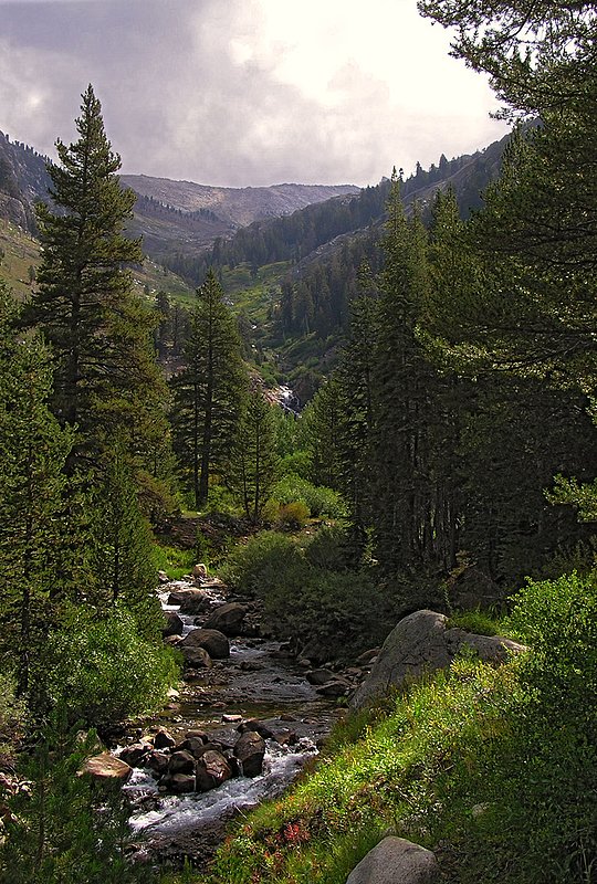 East Fork Kaweah River.jpg :: Headwaters of the East Fork Kaweah River in Mineral King, Sequoia National Park, California