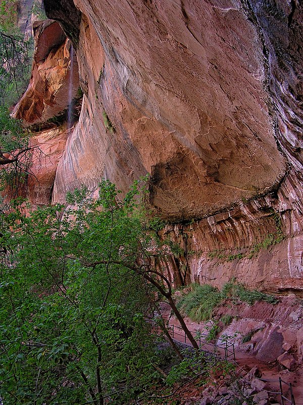 Lower Emerald Pool Trail.jpg :: Along the Lower Emerald Pool Trail.  Zion National Park, Utah