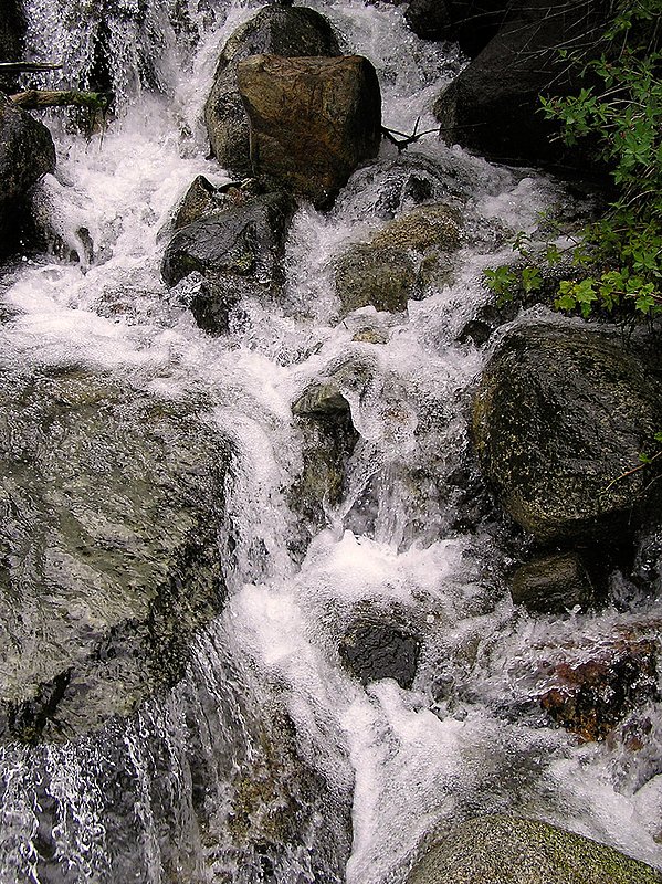 Spring Creek.jpg :: A snowmelt in Mineral King, Sequoia National Park, California ... and yes, the water was as frigid as it appears to be!!!