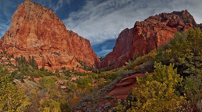 Autumn at Kolob Canyons.jpg :: The towering peaks in the Kolob Canyons section of Zion National Park, Utah shelter a small niche of Autumn colors amongst the evergreens.