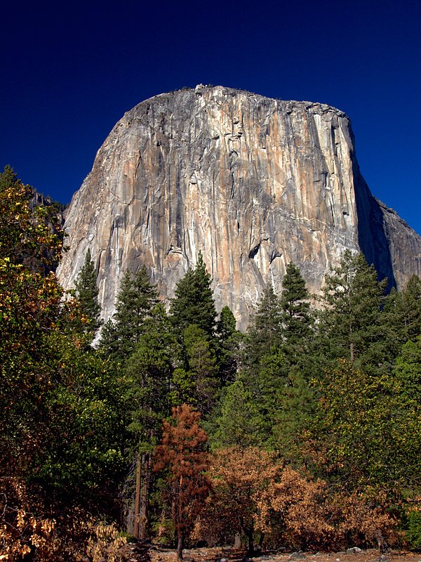 El Capitan West Face.jpg :: The imposing west face of El Capitan presents a wall of sheer rock granite rising over 3000' above the valley floor at Yosemite National Park, California