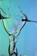 aDSC_6619e.jpg