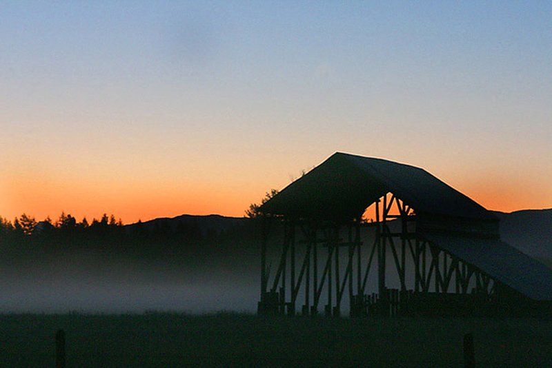0469 barn in morning mist.jpg