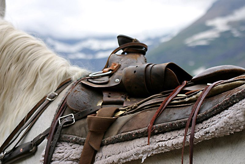 1218 saddle with a view.jpg