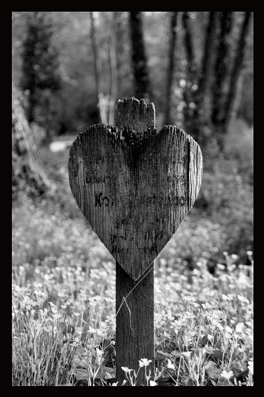 12x18 Wooden Heart.jpg