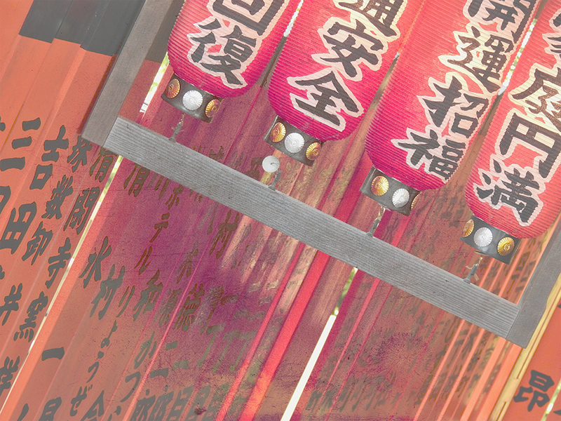 DSCN1183 pink version(1).jpg