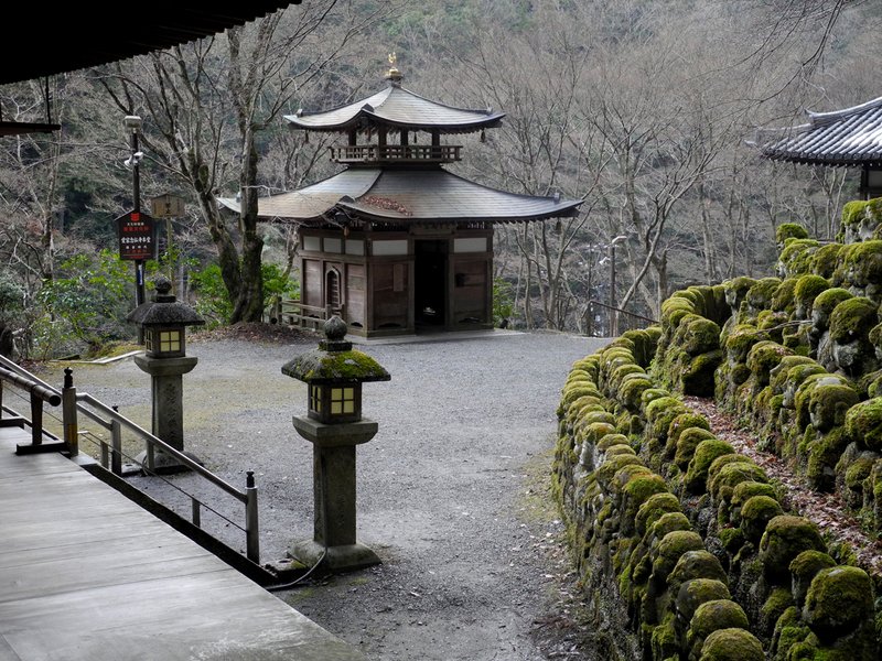 DSCN1216.jpg :: Japan 2011