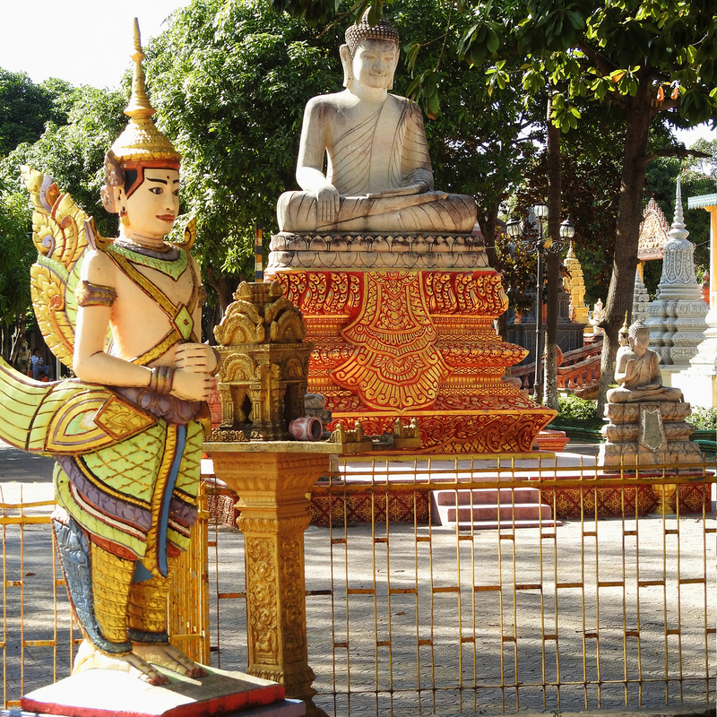 DSCN6113.jpg