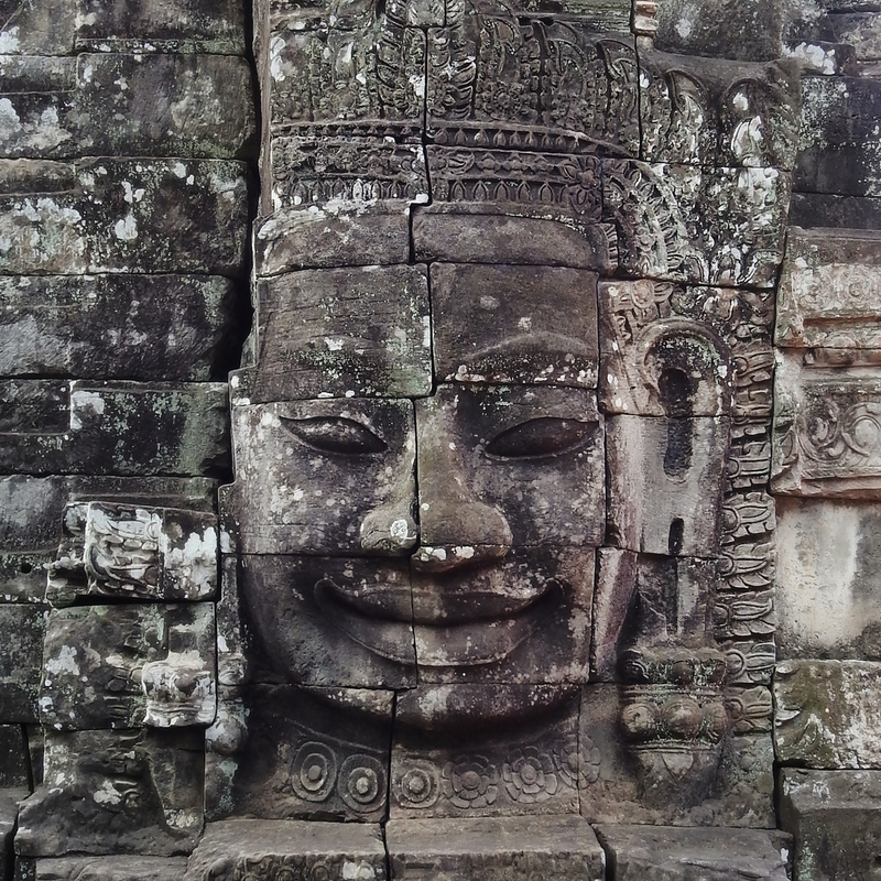 DSCN6478.jpg