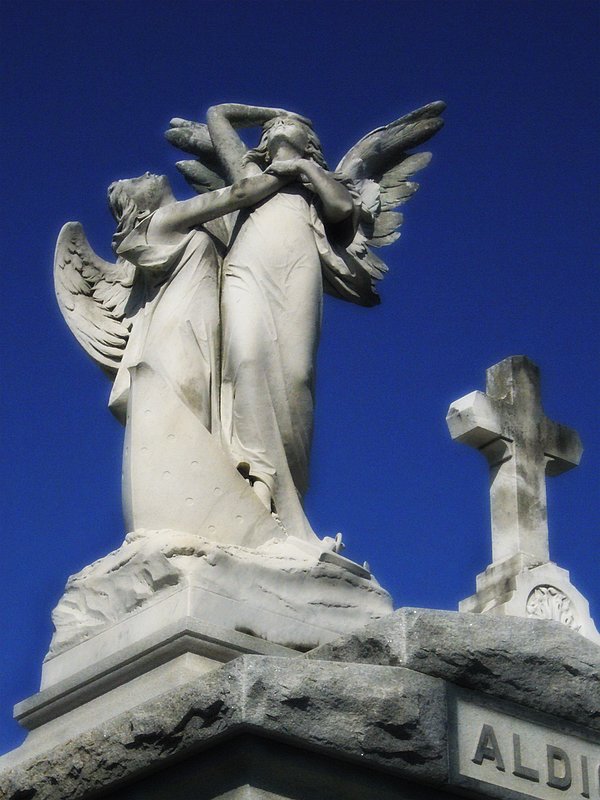 Distraught Angels.jpg