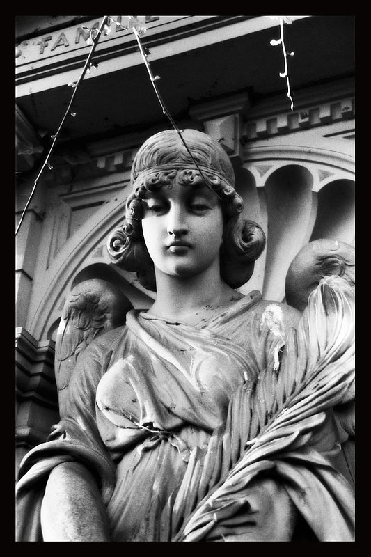 Guardian Angel.jpg