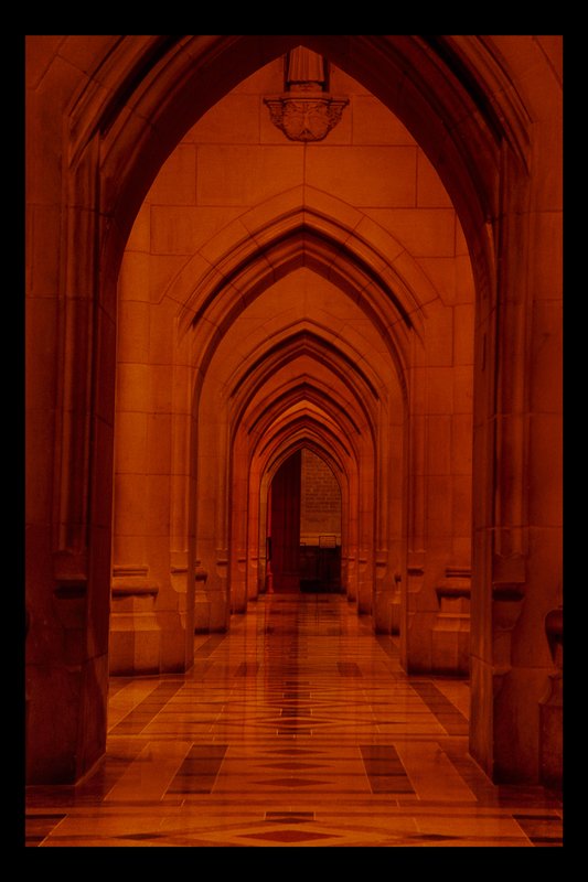 Nathional Cathedral Arches.jpg