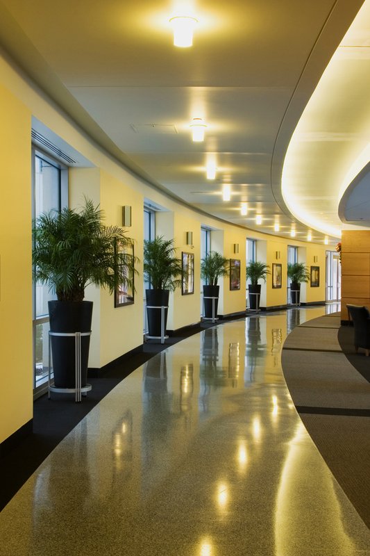 WTP II hallway vertical.jpg