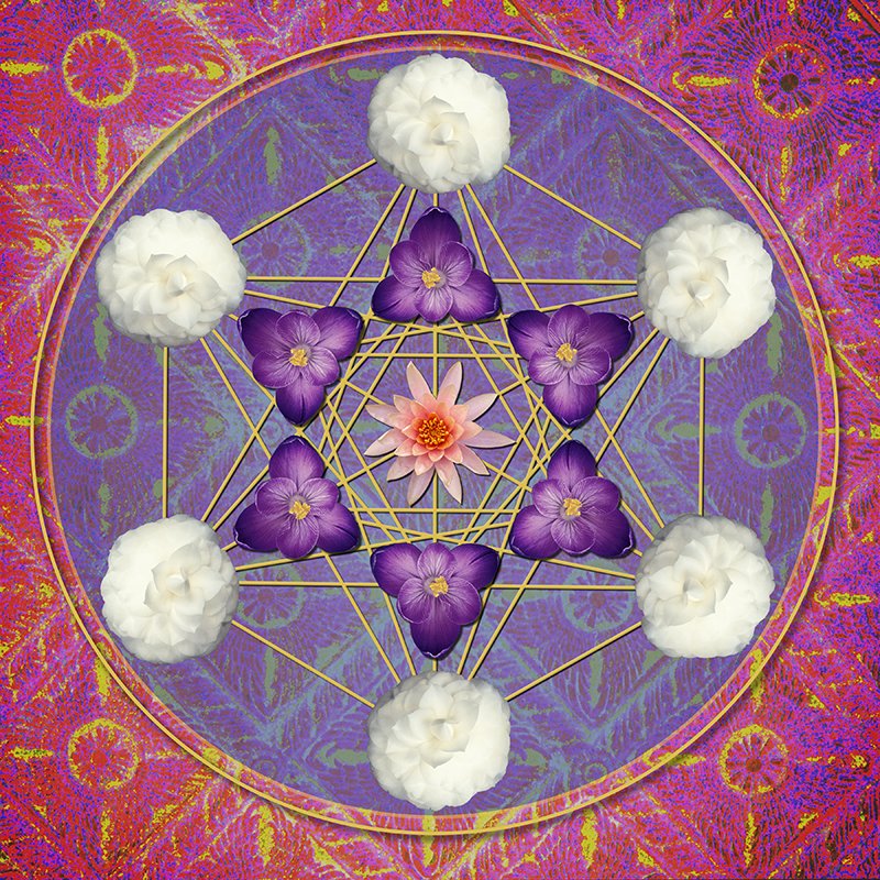 flower symbol 1.jpg
