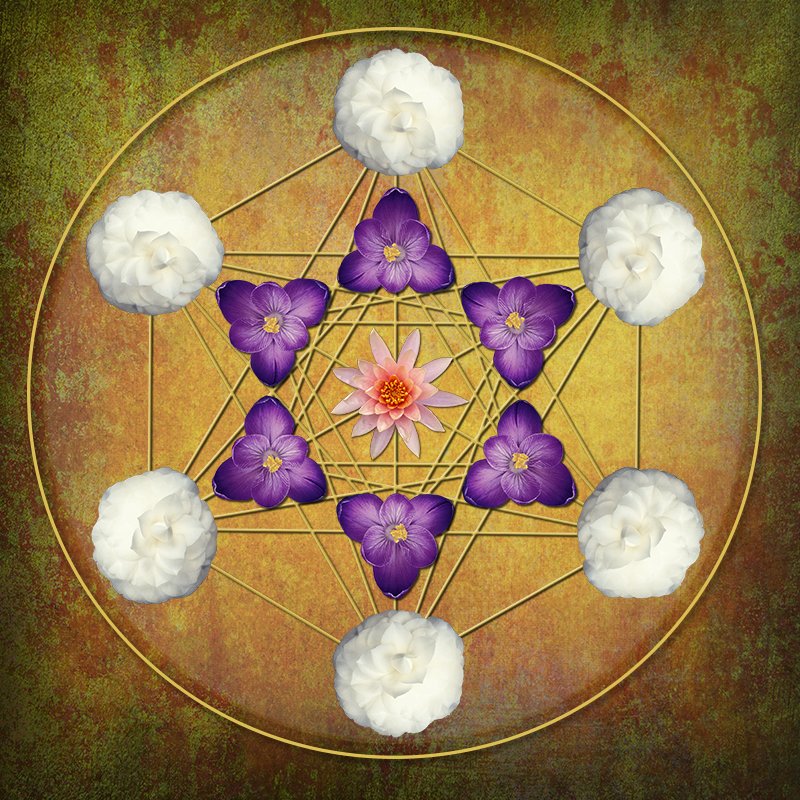 flower symbol v3.jpg