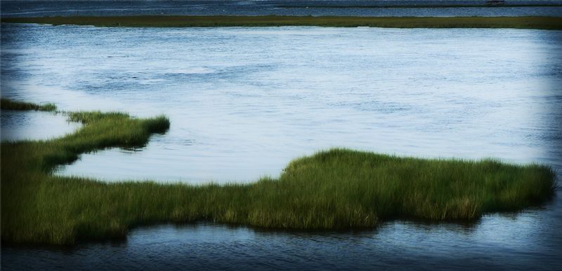115. grass and water OC.jpg